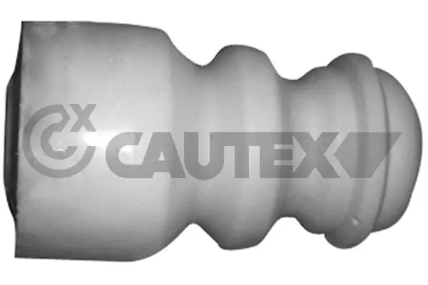 462449 Cautex