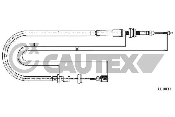 468229 Cautex