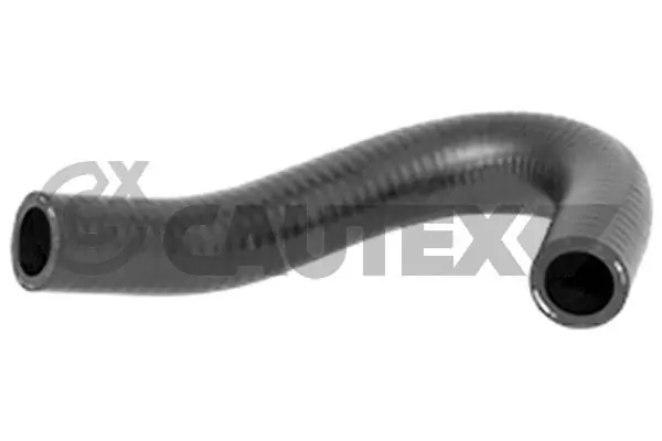 752836 Cautex