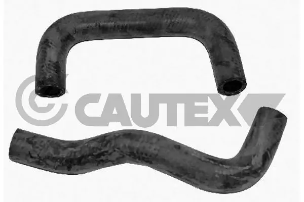 751910 Cautex