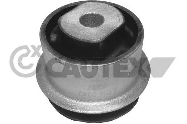 480546 Cautex