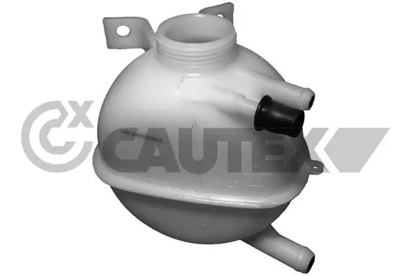 954043 Cautex