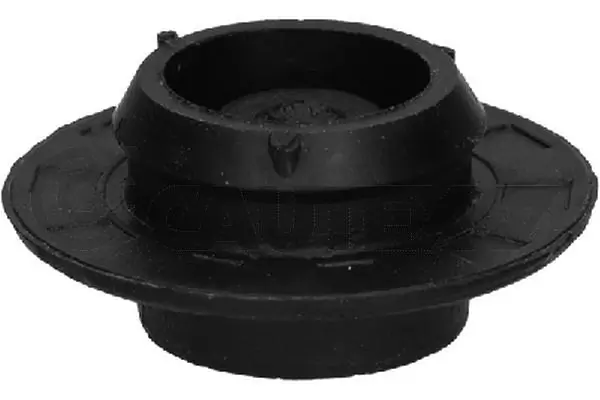 480557 Cautex