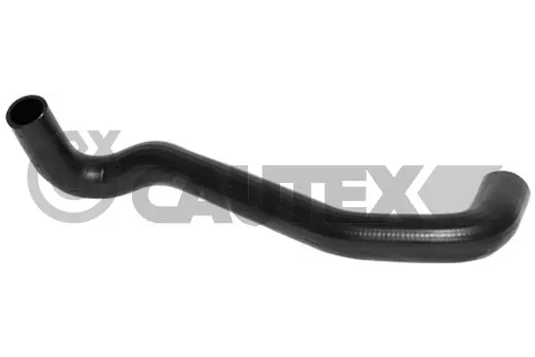 066556 Cautex