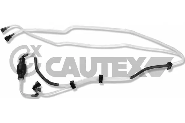 021514 Cautex