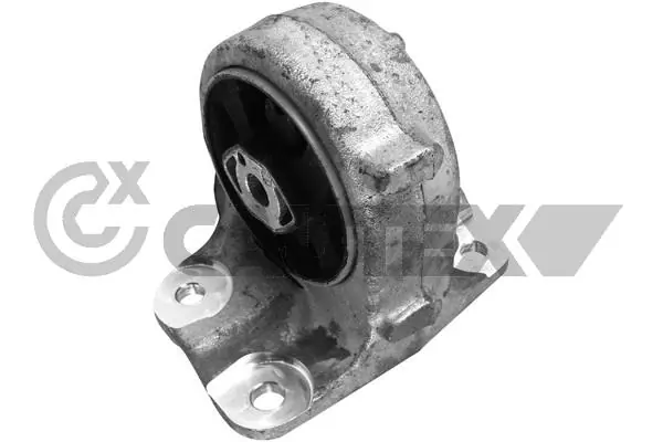 759054 Cautex