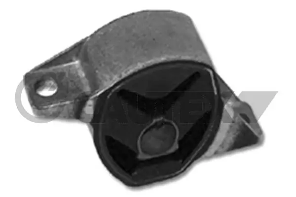 461148 Cautex