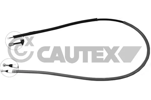 019041 Cautex