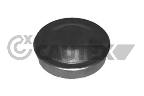951020 Cautex