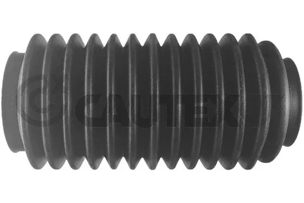 480156 Cautex