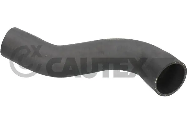 036718 Cautex