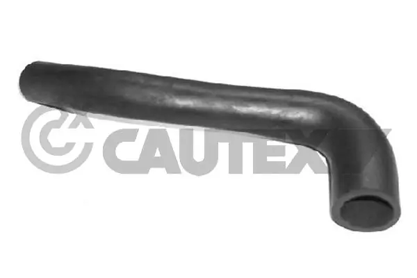 036074 Cautex