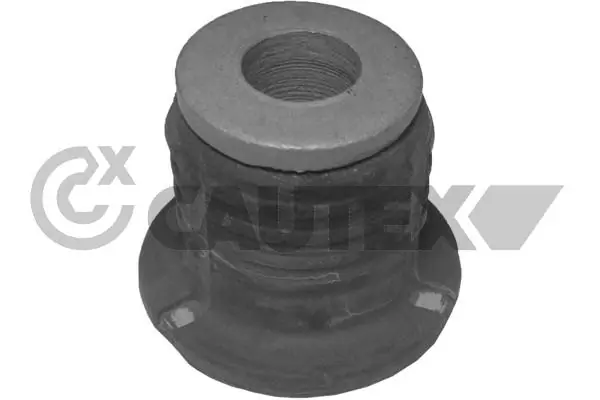 021113 Cautex