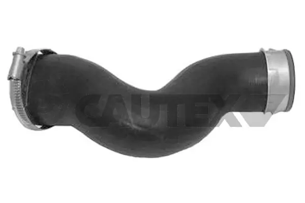466848 Cautex