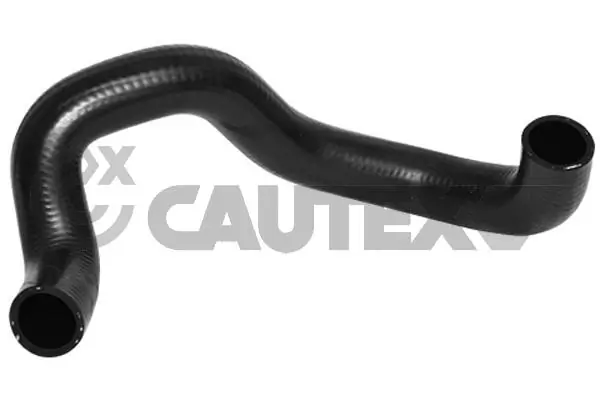 086749 Cautex