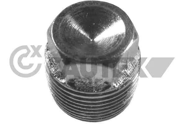 952009 Cautex