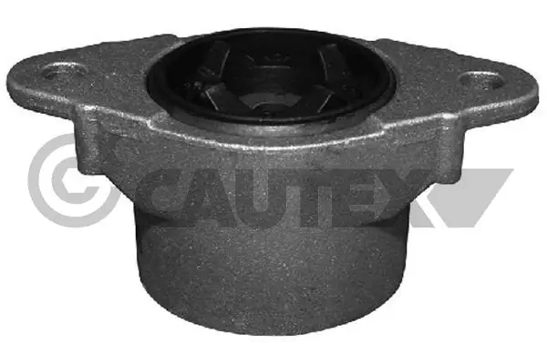 081261 Cautex
