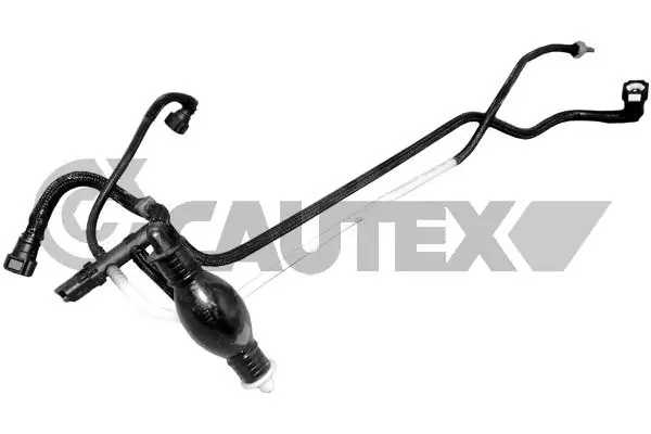 031705 Cautex