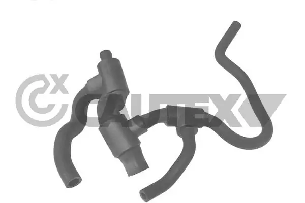 021140 Cautex