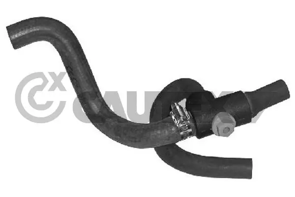 026540 Cautex