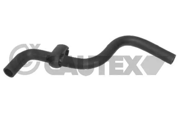 036397 Cautex