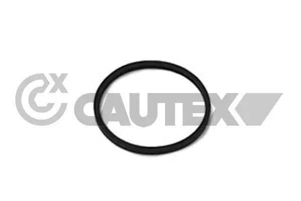 Precio del repuesto Junta carcasa de termostato 21  hatchback