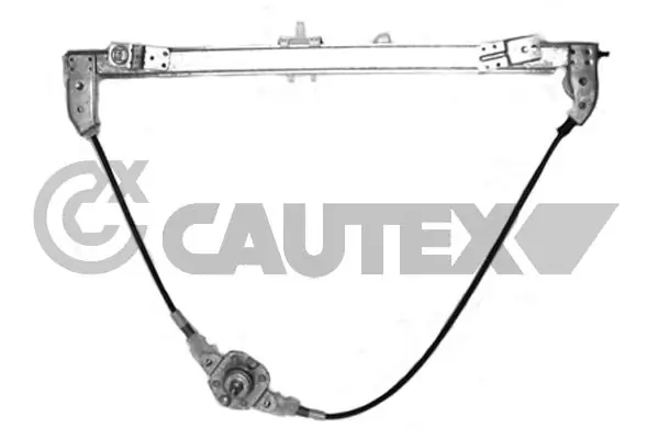 017389 Cautex