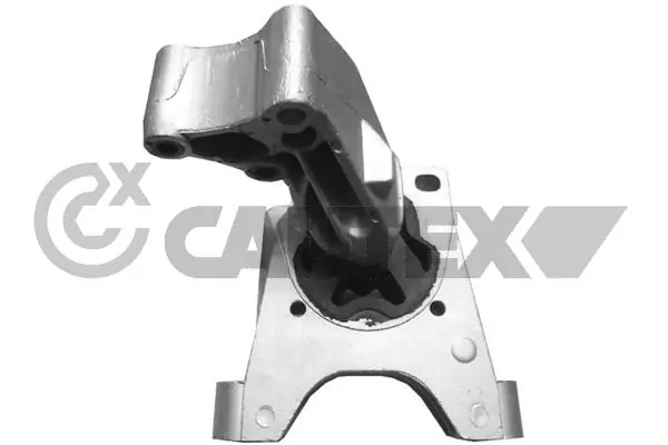756120 Cautex