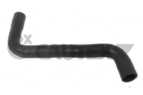 026519 Cautex