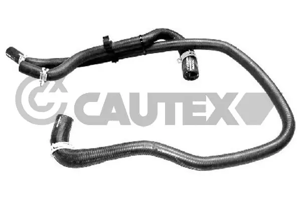 086743 Cautex