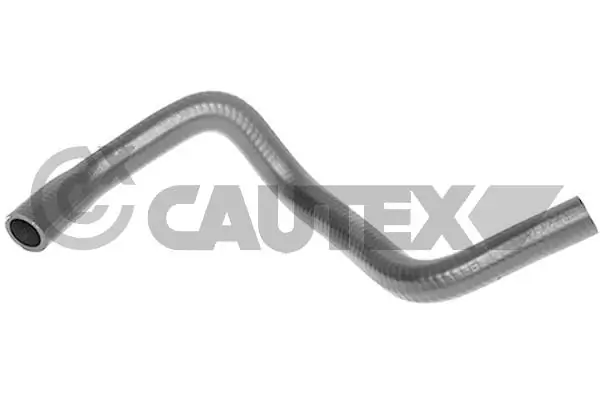 036117 Cautex