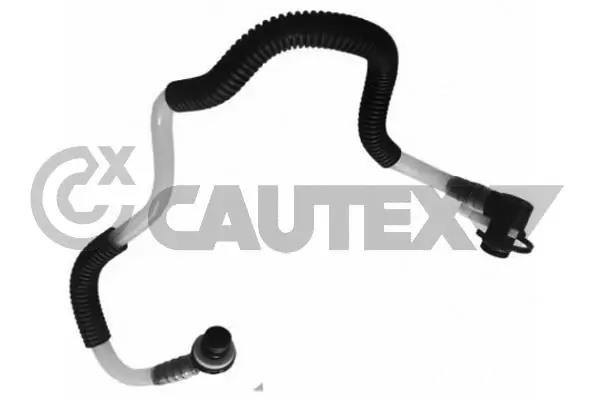 757433 Cautex