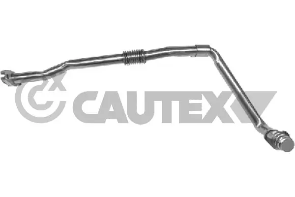770343 Cautex