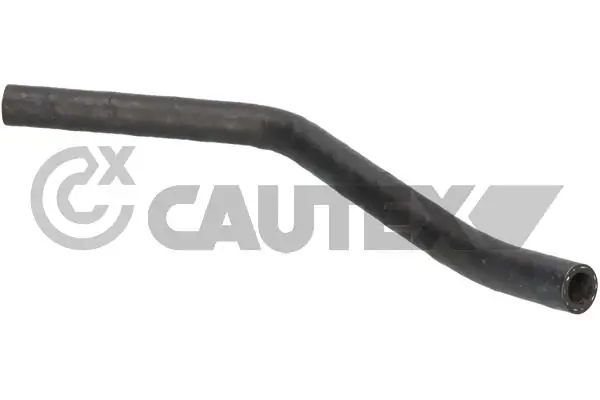 461254 Cautex