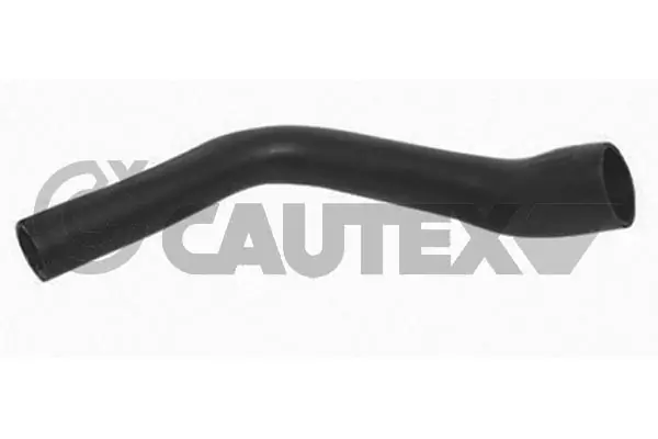 486698 Cautex
