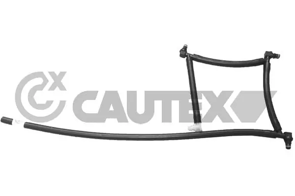 031706 Cautex