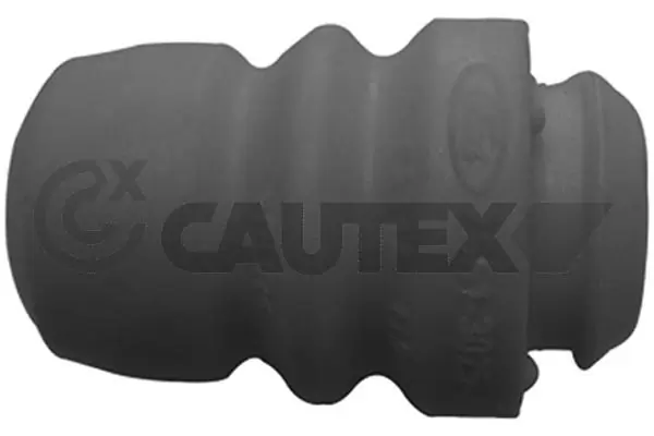 081226 Cautex