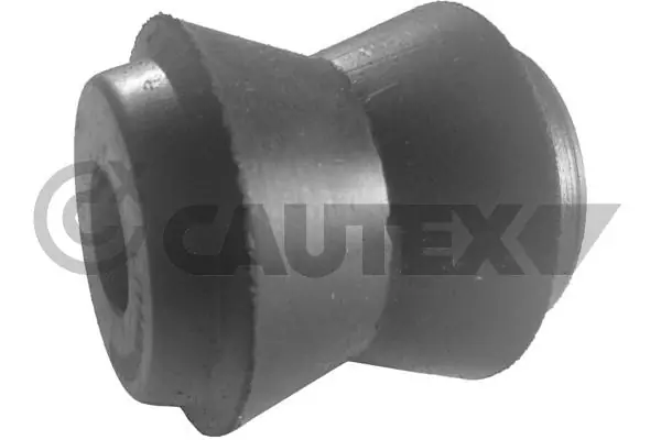755707 Cautex