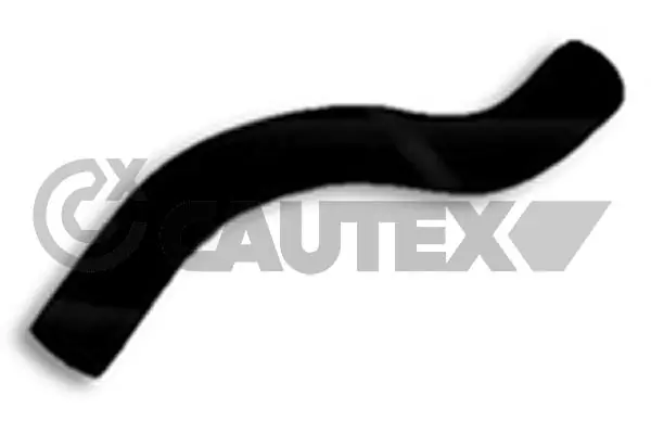 706006 Cautex