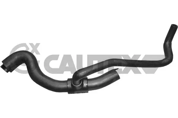 036005 Cautex