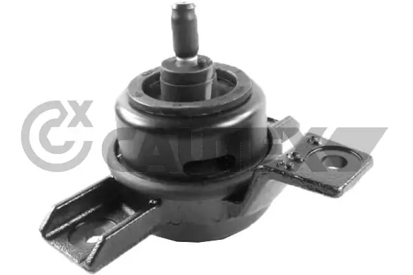 756344 Cautex