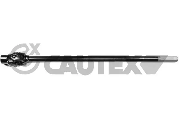 031710 Cautex