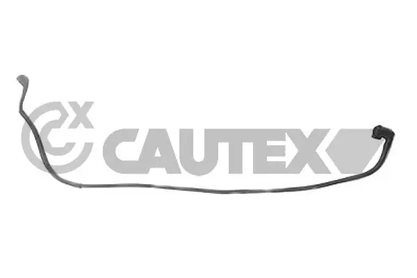 772066 Cautex