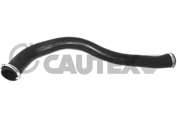 026836 Cautex