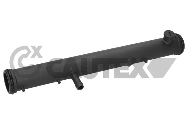 955302 Cautex
