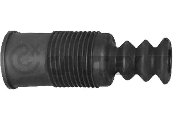 010619 Cautex
