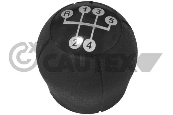 770571 Cautex