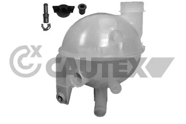 955506 Cautex