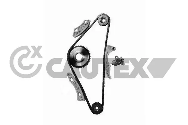 752051 Cautex