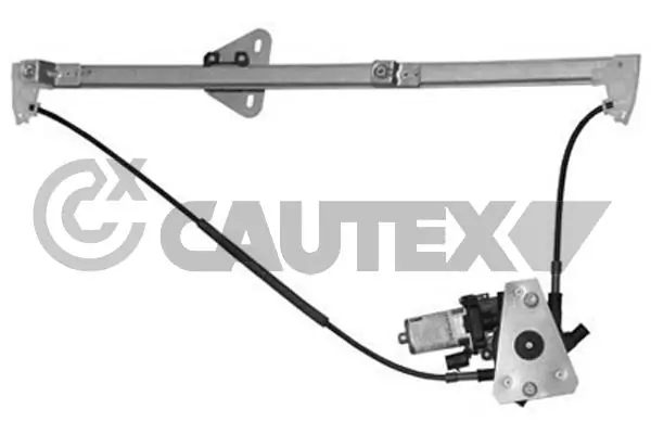 467007 Cautex